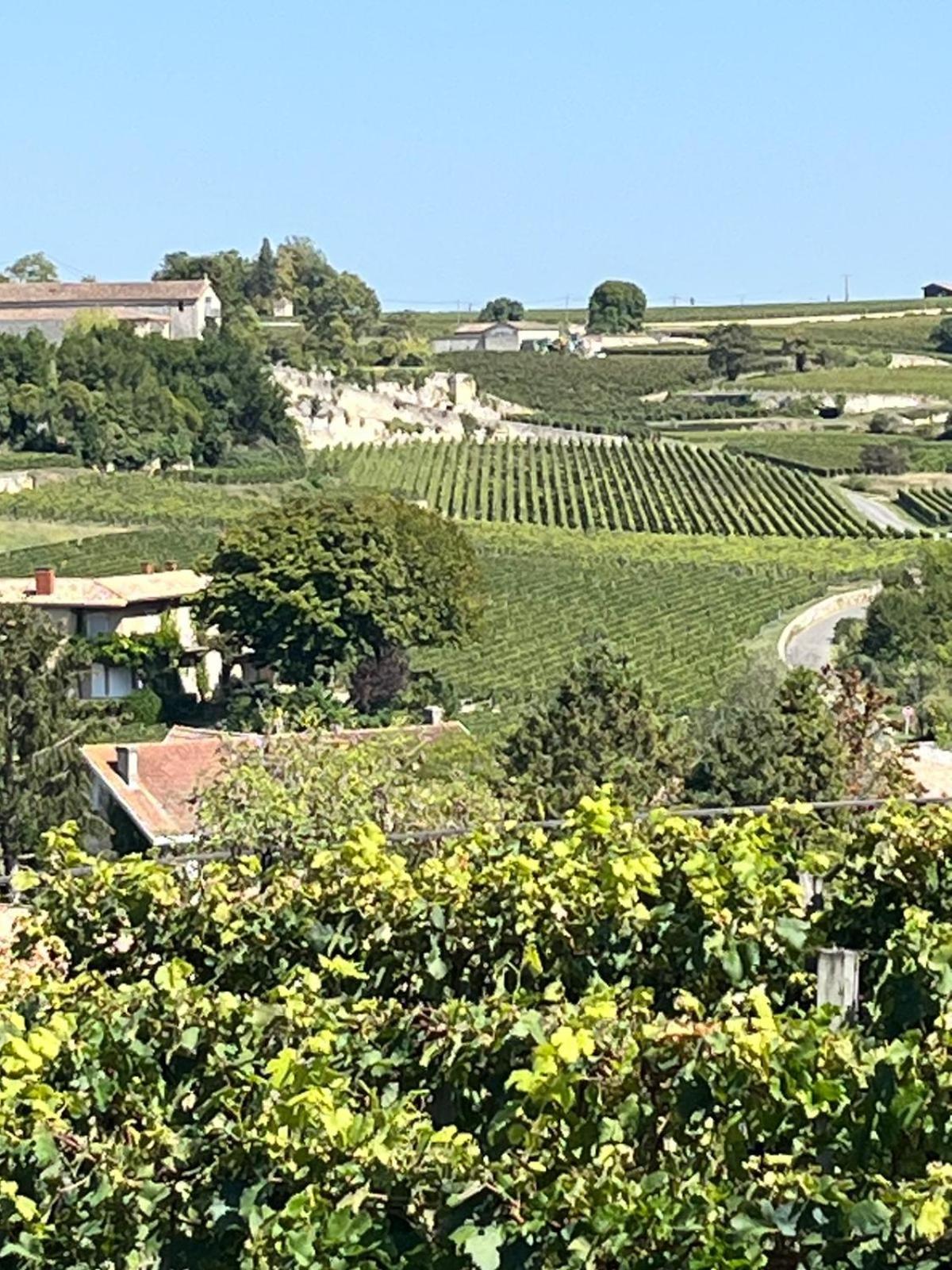 Les Logis Des Vignobles Saint Emilion En Duplex N 2 Avec Terrasse Apartamento Exterior foto